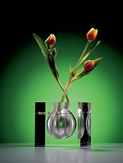 Foto Filip Šlapal,váza ze studia D3A,  titulní foto 